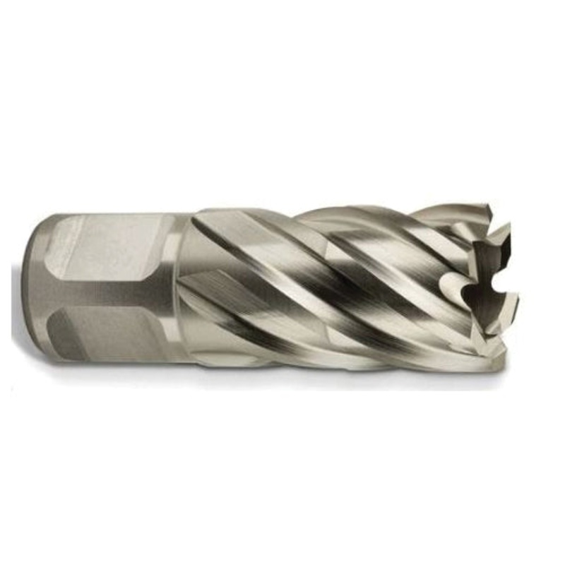 FEIN 6 31 34 222 04 1 Annular Cutter, 7/8 in Dia Cutter, 1 in D Cutting