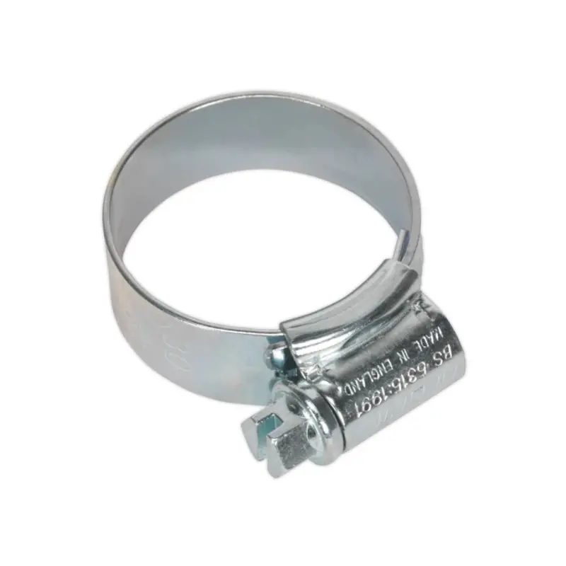 Sealey HI-GRIP Hose Clip Zinc Plated 22-30mm Pack of 20