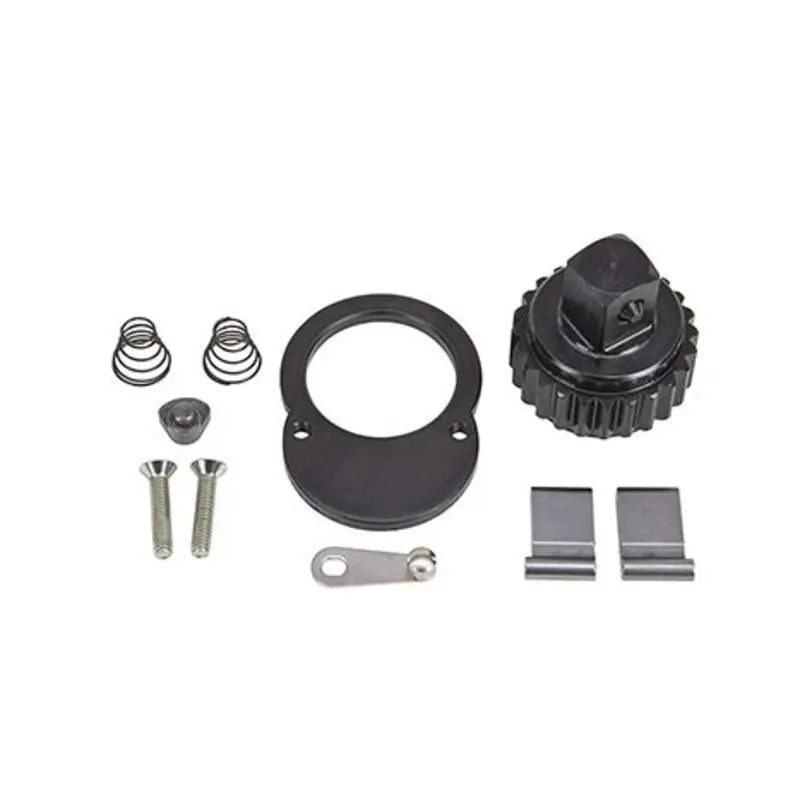 Proto 3/4in Drive Ratchet Repair Kit