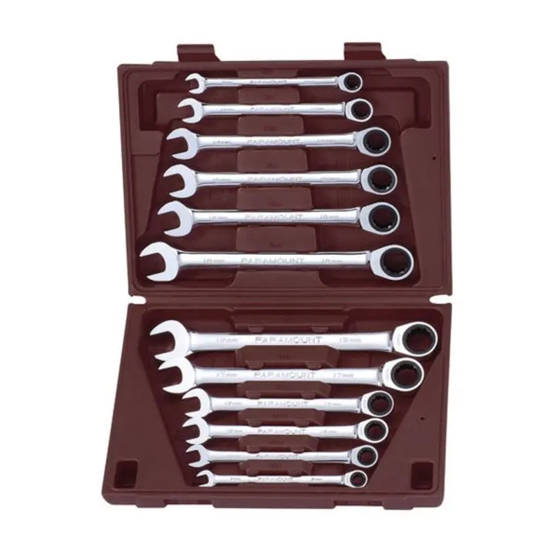 Paramount 12PC 8-19mm Chrome Ratcheting Combination Wrench Set