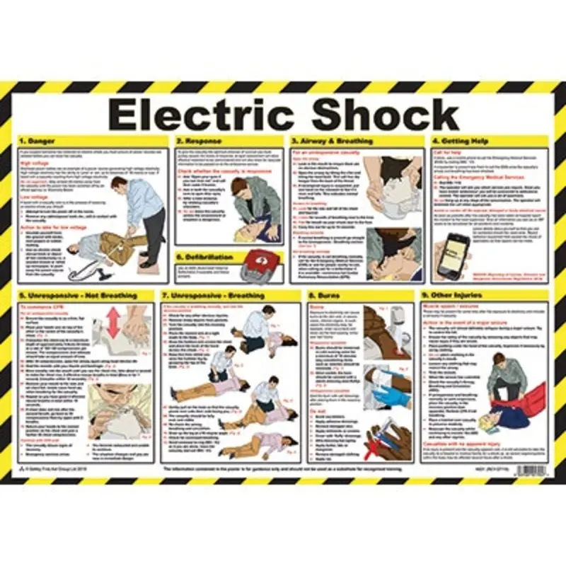 Pro-Safe Electric Shock First Aid A2 Poster Laminated